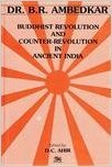 Buddhist Revolution and Counter-Revolution in Ancient India (Hardcover)