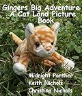 Ginger's Big Adventure: A Cat Land Picture Book