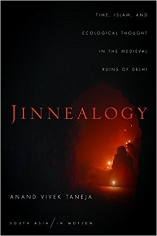 Jinnealogy: Time, Islam, and Ecological Thought in the Medieval Ruins of Delhi (South Asia in Motion)