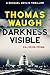 Darkness Visible (Michael Devlin Thriller Book 2)
