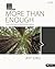 More Than Enough: How Jesus Meets Our Deepest Needs - Bible Study Kit