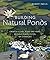 Building Natural Ponds: Cre...