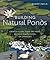 Building Natural Ponds: Create a Clean, Algae-free Pond without Pumps, Filters, or Chemicals
