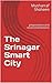 The Srinagar Smart City: propositions and recommendations