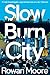 Slow Burn City: London in the Twenty-First Century