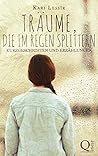 Träume, die im Regen splittern: Kurzgeschichten und Erzählungen (German Edition)