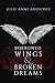 Borrowed Wings & Broken Dreams