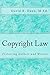 Copyright Law: Protecting Authors and Writers (Professor Lecture Series Book 2)
