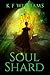 Soul Shard (The Heroes of Elgin Book 2)