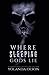Where Sleeping Gods Lie by Yolanda Olson