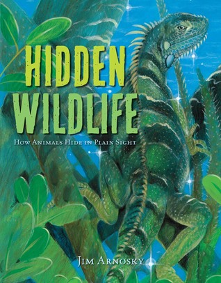 Hidden Wildlife: How Animals Hide in Plain Sight (Hardcover)