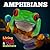 Amphibians (Living Things & Their Habitats)