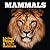 Mammals (Living Things & Their Habitats)