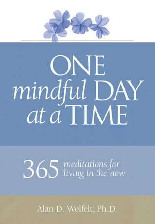 One Mindful Day at a Time: 365 meditations for living in the now (Paperback)