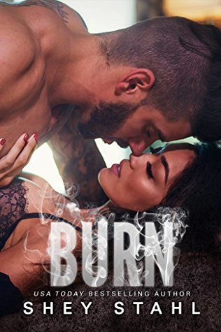 Burn (Kindle Edition)