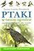 Ptaki w twoim ogrodzie: przegląd gatunków, dobór roślin, karmniki, pojniki, skrzynki lęgowe, kąpieliska