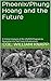 Phoenix/Phung Hoang and the Future: A Critical Analysis of the US/GVN Program to Neutralize the Viet Cong Infrastructure
