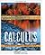 Calculus: Single Variable