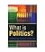 What is Politics The Activity and its Study