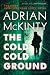 The Cold Cold Ground (Detective Sean Duffy, #1)