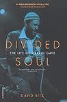 Divided Soul: The...