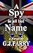 A SPY IN ALL BUT NAME
