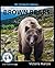 My Favorite Animal: Brown Bears
