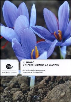 Il suolo, un patrimonio da salvare (Paperback)