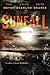 Sunfall by Tim   Meyer