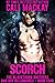 Scorch (The Blackthorn Brot...