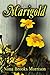 Marigold: A sensitive and uplifting novel for girls 9 -12