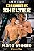 Gimme Shelter (Set in Stone, #7)