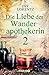 Der Feind aus dem Dunkeln (Die Liebe der Wanderapothekerin #2)