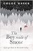 The Boy Made of Snow