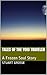 Tales of the Void Traveler (Frozen Soul #1)