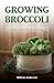 Broccoli Growing: Planting, Growing, Harvesting