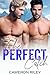 The Perfect Catch (Sweet Re...