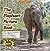 The Elephant Picture Book