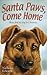 Santa Paws, Come Home (#4)[ SANTA PAWS, COME HOME (#4) ] by Edwards, Nicholas (Author) Nov-01-00[ Paperback ]