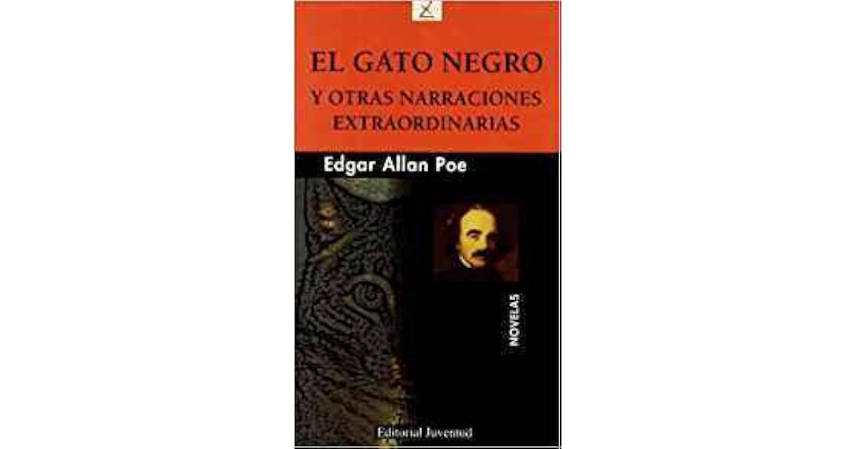 Narraciones Extraordinarias Resumen El Gato Negro