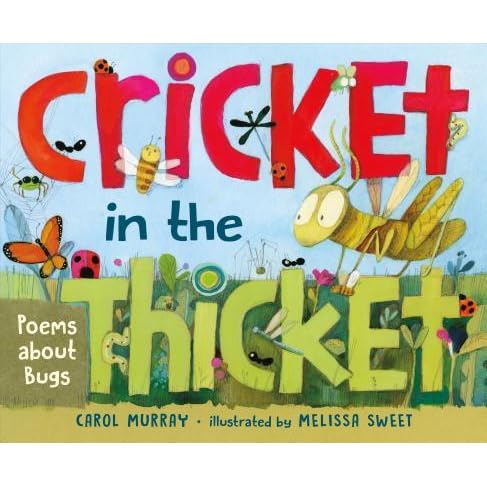 Cricket In The Thicket Poems About Bugs By Carol Murray