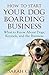 How to Start Your Dog Boarding Business by Sarah Clark