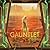The Gauntlet (The Cage, #3)