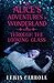 Alice's Adventures in Wonderland and Through the Looking Glass