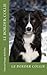 le border collie: chiens de...