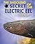 The Shocking Secret of the Electric Eel... and More!