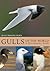 Gulls of the World: A Photographic Guide
