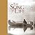 Song of Life: Native Americ...