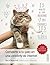 Convierte a tu gato en una celebrity de internet (Spanish Edition)