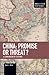 China: Promise or Threat?: A Comparison of Cultures (Studies in Critical Social Sciences)